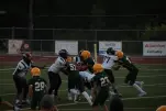 IMG 0211