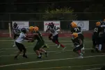 IMG 0074