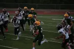 IMG 0126
