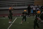 IMG 0371