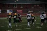 IMG 0175