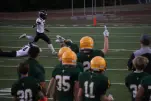 IMG 0366