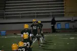 IMG 0503