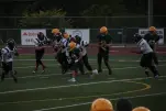 IMG 0238
