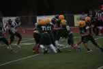 IMG 0059