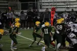 IMG 0718
