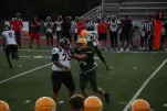 IMG 0233