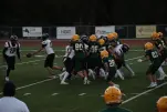 IMG 0278