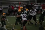 IMG 0382