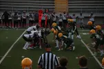 IMG 0105