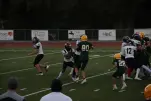 IMG 0279
