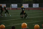 IMG 0084