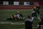 IMG 0198