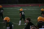 IMG 0048