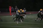 IMG 0403