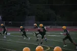 IMG 0160