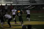 IMG 0729