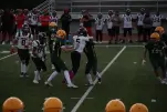 IMG 0225