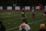 IMG 0055