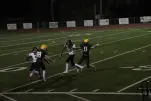 IMG 0708