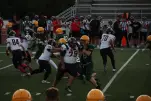 IMG 0229