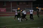 IMG 0245