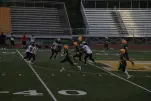 IMG 0261