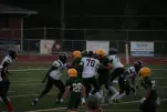 IMG 0213