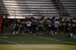 IMG 0511