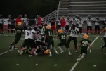 IMG 0267