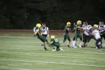 IMG 0771