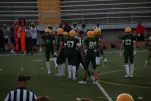 IMG 0100