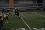IMG 0430
