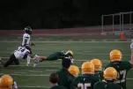 IMG 0365