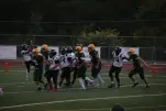 IMG 0152