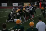 IMG 0285