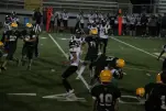 IMG 0734