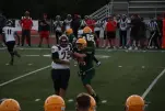 IMG 0234