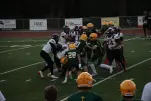 IMG 0283