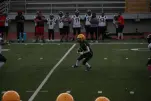 IMG 0221