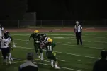 IMG 0697