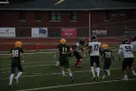 IMG 0173