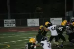 IMG 0455