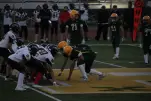 IMG 0308