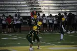 IMG 0543