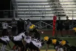 IMG 0628