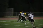 IMG 0753