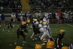 IMG 0339