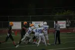 IMG 0202