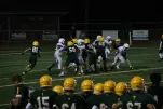 IMG 0287